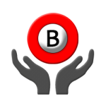 Braillo Braille Printer Support Services Braillo Braille Printer Support Services